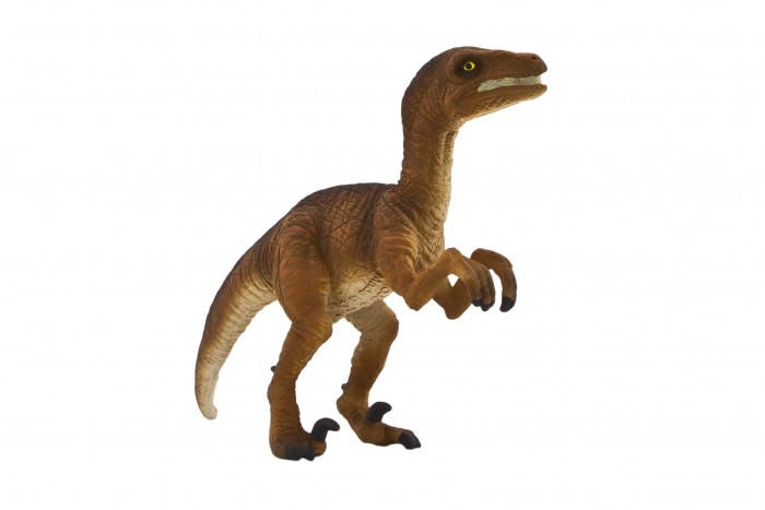  Mojo Animal Planet  M 387079