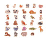  Hape     (30 ) - Hape     (30 )