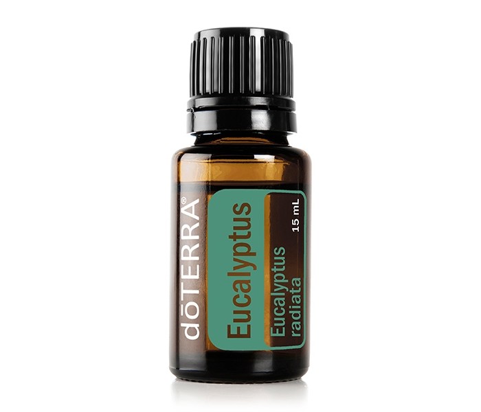  doTERRA   Eucalyptus