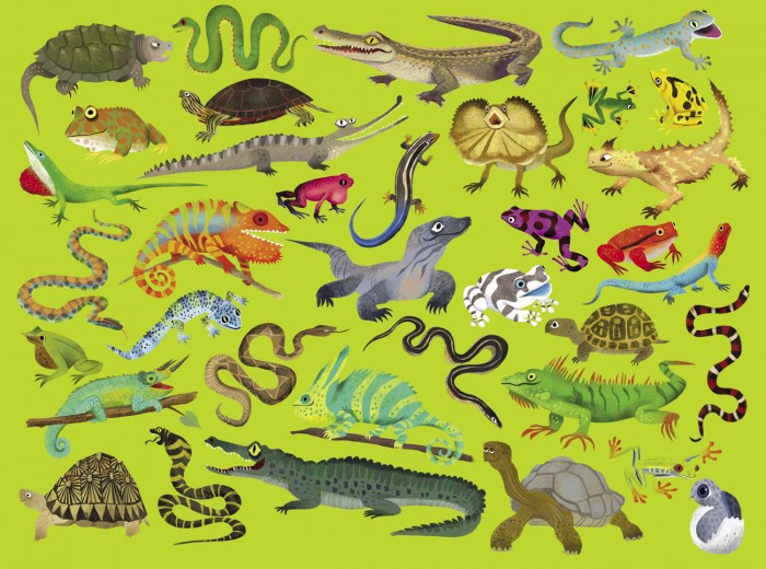  Crocodile Creek  36     (300 )