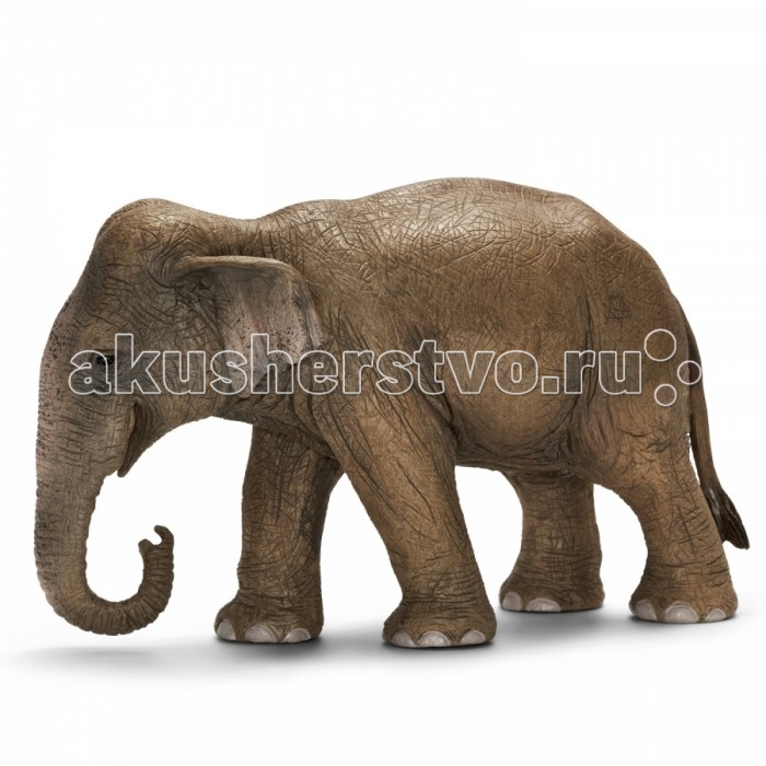  Schleich     
