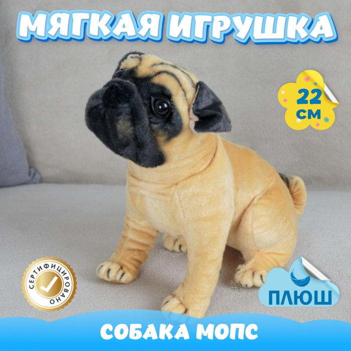   KiDWoW   393001809