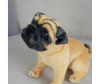   KiDWoW   393001809 - LW602219903K__3__1_.JPG-1698766826