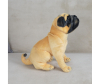   KiDWoW   393001809 - LW602219903K__4__1_.JPG-1698767368