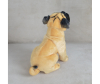   KiDWoW   393001809 - LW602219903K__5__1_.JPG-1698769369