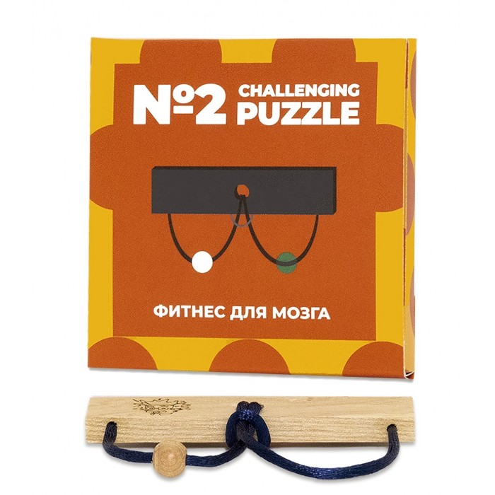  IQ Puzzle  Challenging 2