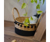  Natural House       242413  - Natural House       242413 