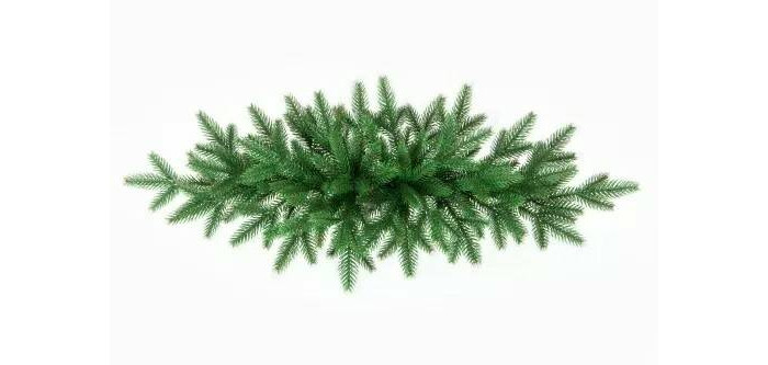  Crystal Trees   75 