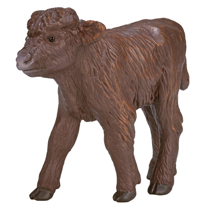  Konik  