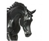  Breyer     -   - Breyer     -  