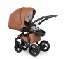  Camarelo Sirion Eco 3  1 - Camarelo Sirion Eco 3  1
