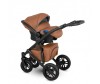  Camarelo Sirion Eco 3  1 - Camarelo Sirion Eco 3  1