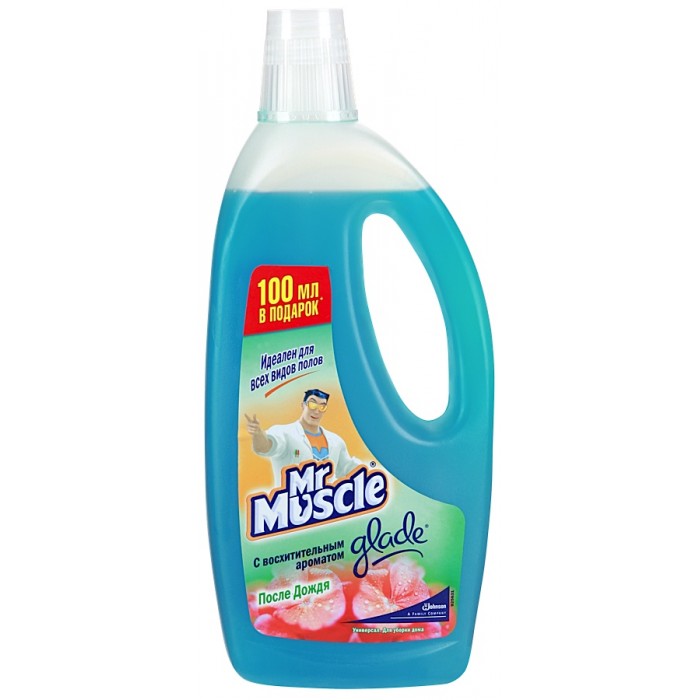  Mr Muscle          500 