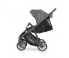   Expander Vivo - Expander Vivo