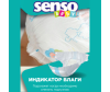  Senso Baby    Mini 2/S (3-6 ) 26 . - 4810703000193_2-1643115497