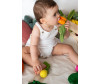  Oli&Carol Cathy The Carrot Mini Doudou-Teether - Oli&Carol Cathy The Carrot Mini Doudou-Teether 