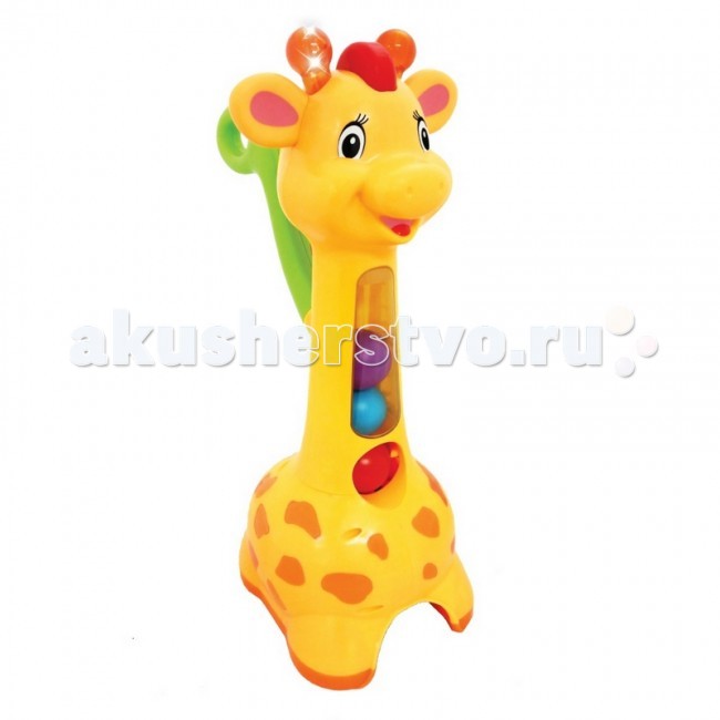 - Kiddieland    c 