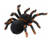  Cute Sunlight Toys   Tarantula    - Cute Sunlight Toys   Tarantula   