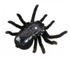  Cute Sunlight Toys   Tarantula    - Cute Sunlight Toys   Tarantula   
