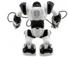  Jia Qi   Roboactor  - - Jia Qi   Roboactor  -