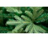  Crystal Trees    210  - Crystal Puzzle    210 
