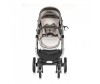 - Chipolino Up & Down - Chipolino Up & Down
