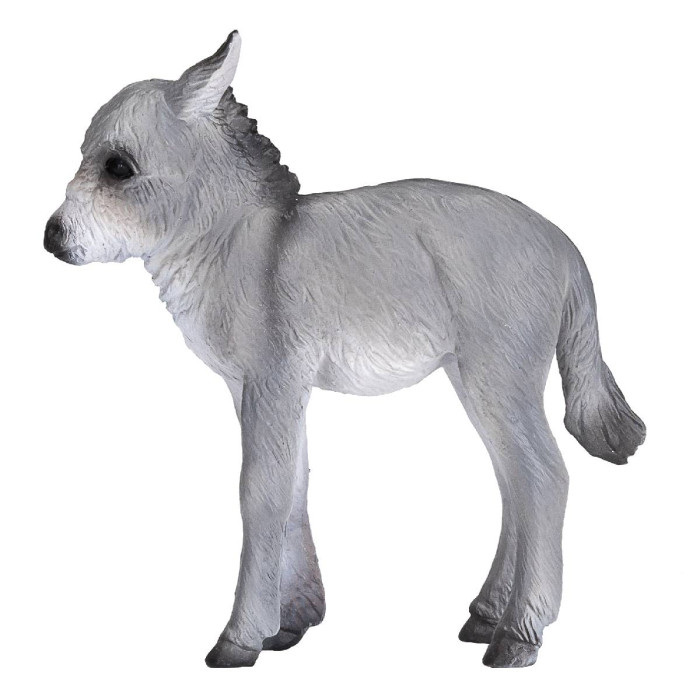  Konik  