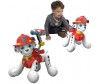   Spin Master Zoomer  - Spin Master   Zoomer 