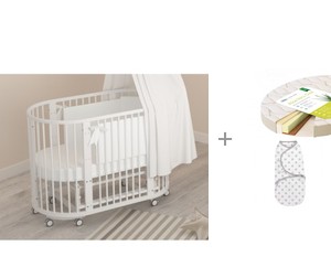 -      Aloe vera Oval     Summer Infant Swaddleme - 