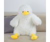   KiDWoW   381944720 - JX605519302W__1__1_.JPG-1698794454