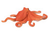  Konik  AMS3032 - Konik  AMS3032