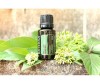  doTERRA   Basil - doTERRA   Basil