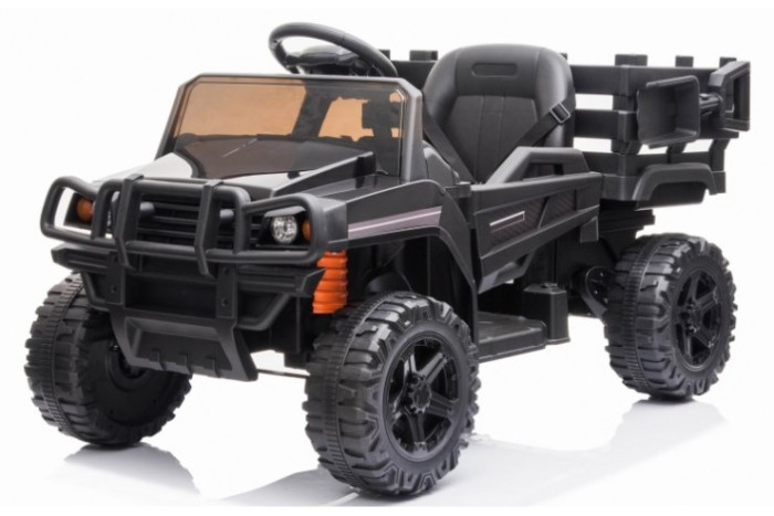  Bettyma     2WD 12V