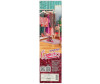      29  66001BOX-C2-S-BB -     29  66001BOX-C2-S-BB
