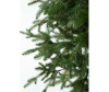  National Tree Company    220  - National Tree Company    220 