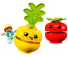  Lego Duplo -  (19 ) - Lego Duplo -  (19 )
