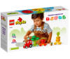  Lego Duplo -  (19 ) - Lego Duplo -  (19 )