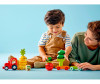 Lego Duplo -  (19 ) - Lego Duplo -  (19 )