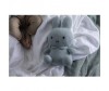   Shokid  Miffy  32  - Shokid  Miffy  32 