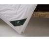  Anna Flaum  Flaum Baumwolle Kollektion 205172  - Anna Flaum Baumwolle Kollektion  172205 