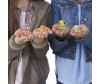  Littlest Pet Shop Pet Shop     - Hasbro Pet Shop    