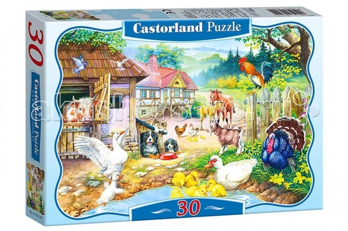  Castorland   30 