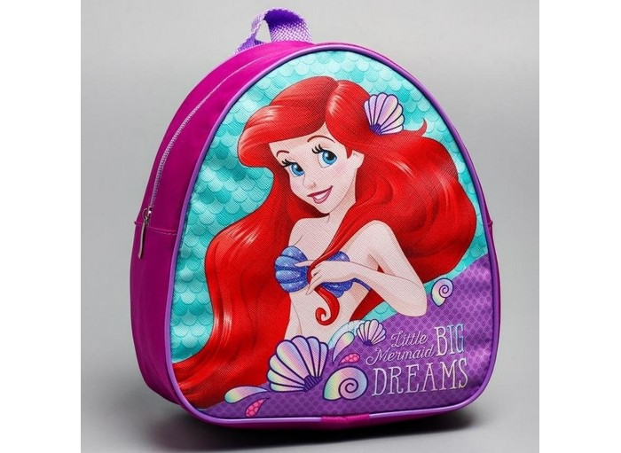  Disney  Big dreams   25x21 