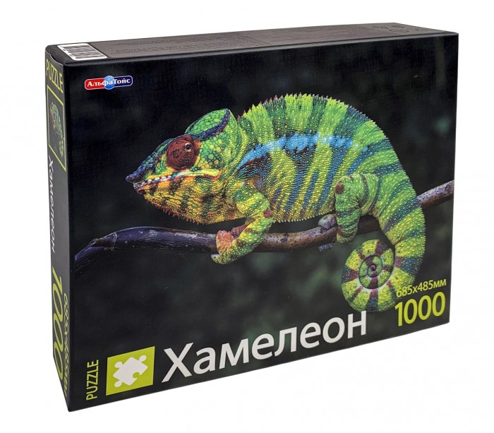     (1000 )