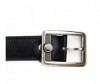  Wild Bear  RM-005m/006m - Wild Bear  RM-005m/006m