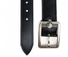  Wild Bear  RM-005m/006m - Wild Bear  RM-005m/006m