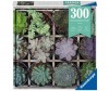  Ravensburger   (300 ) - Ravensburger   (300 )