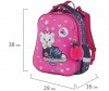  Brauberg Premium    Kitten&sneakers - Brauberg Premium  Kitten&sneakers