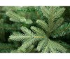  Green Trees    210  - Green Trees    210 