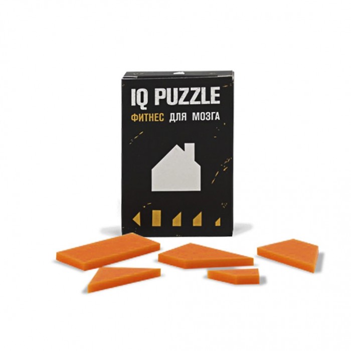  IQ Puzzle  